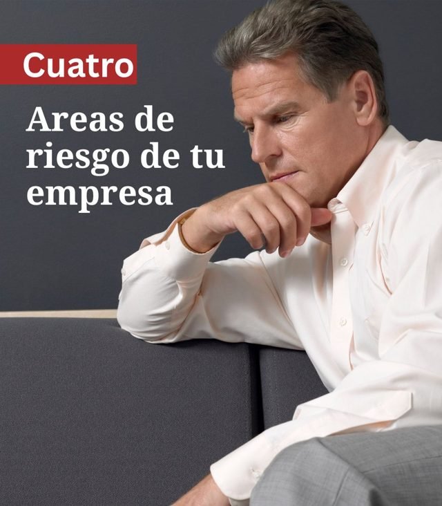 Áreas de riesgo de la empresa